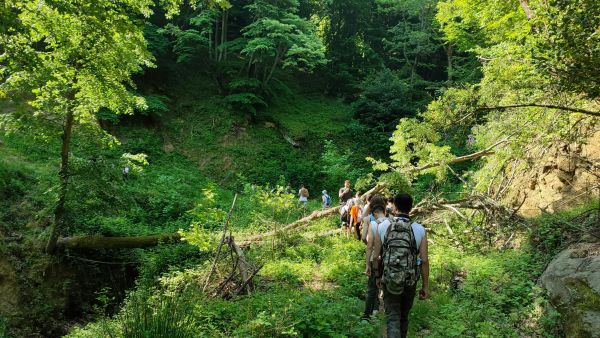 Stage nature ado en Belgique : une aventure unique dans les Ardennes